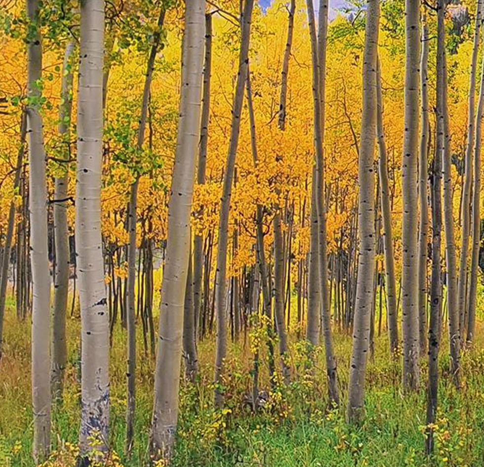 Affordable Art on 30/04/2022