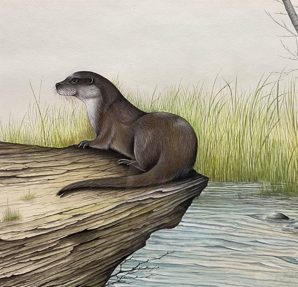 Affordable Art on 11/06/2022