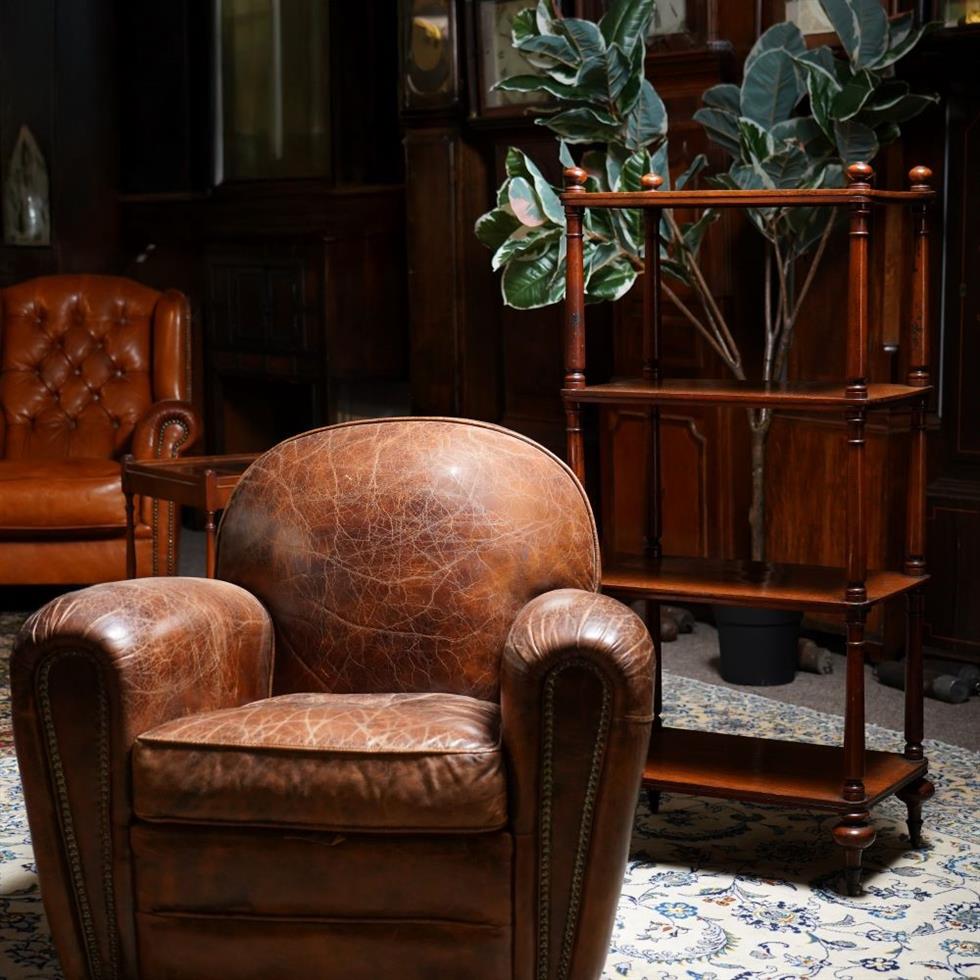 Furniture, Rugs & Interiors