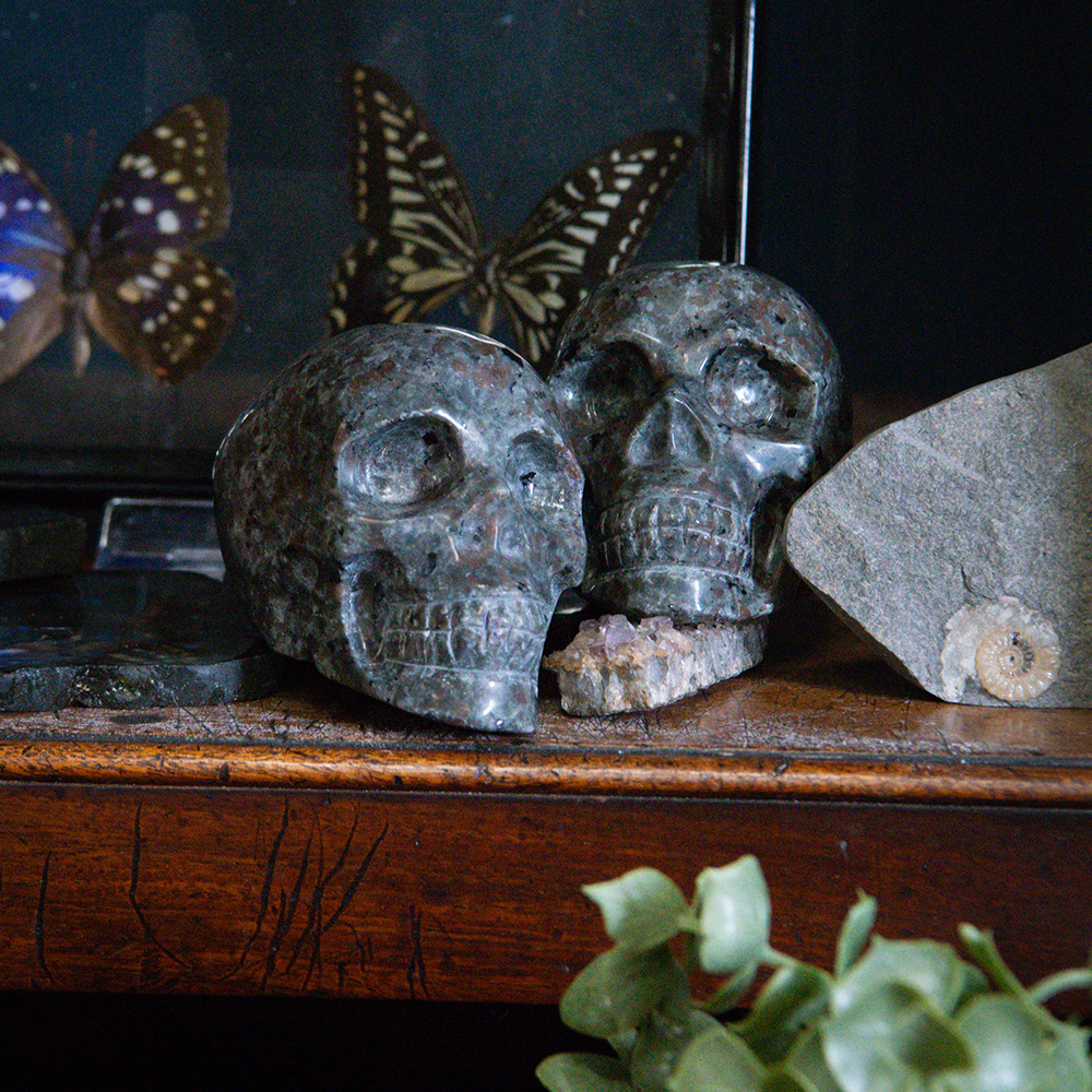 Nature, Culture & Curiosity