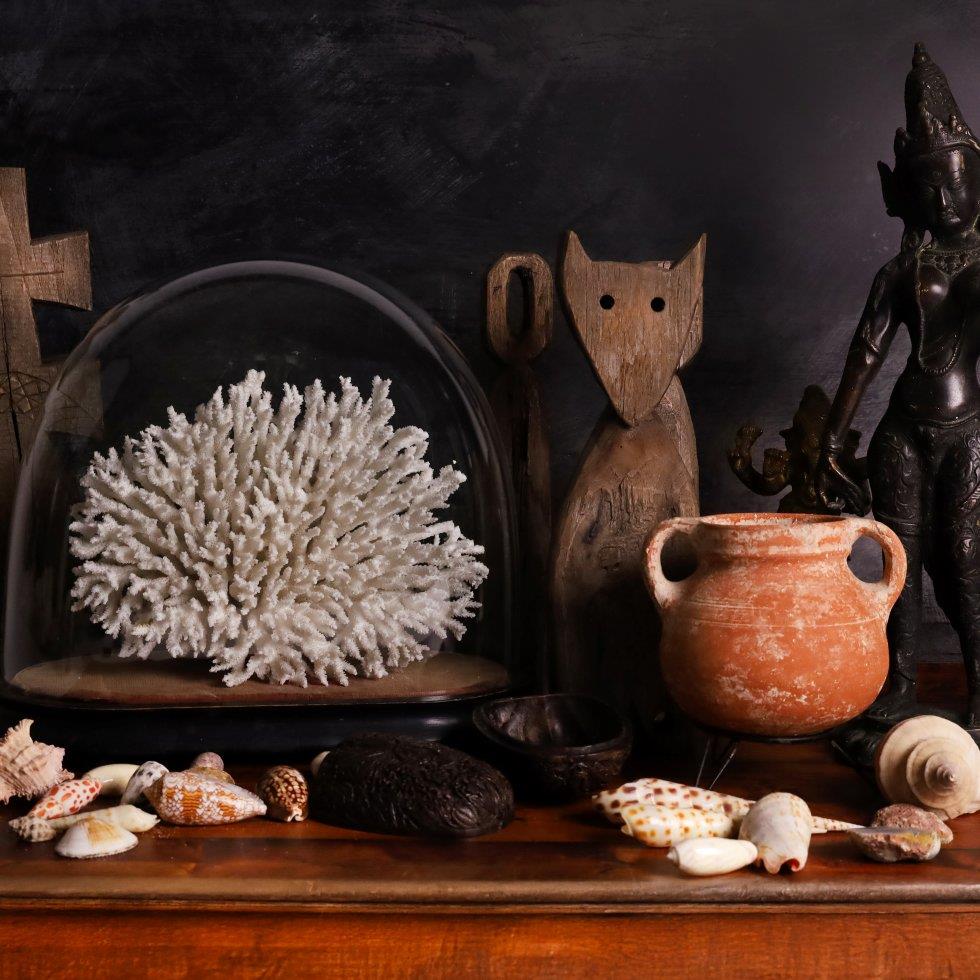 Nature, Culture & Curiosity