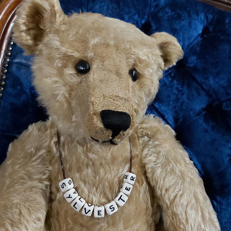 The Teddy Bear Collection on 18/03/2021