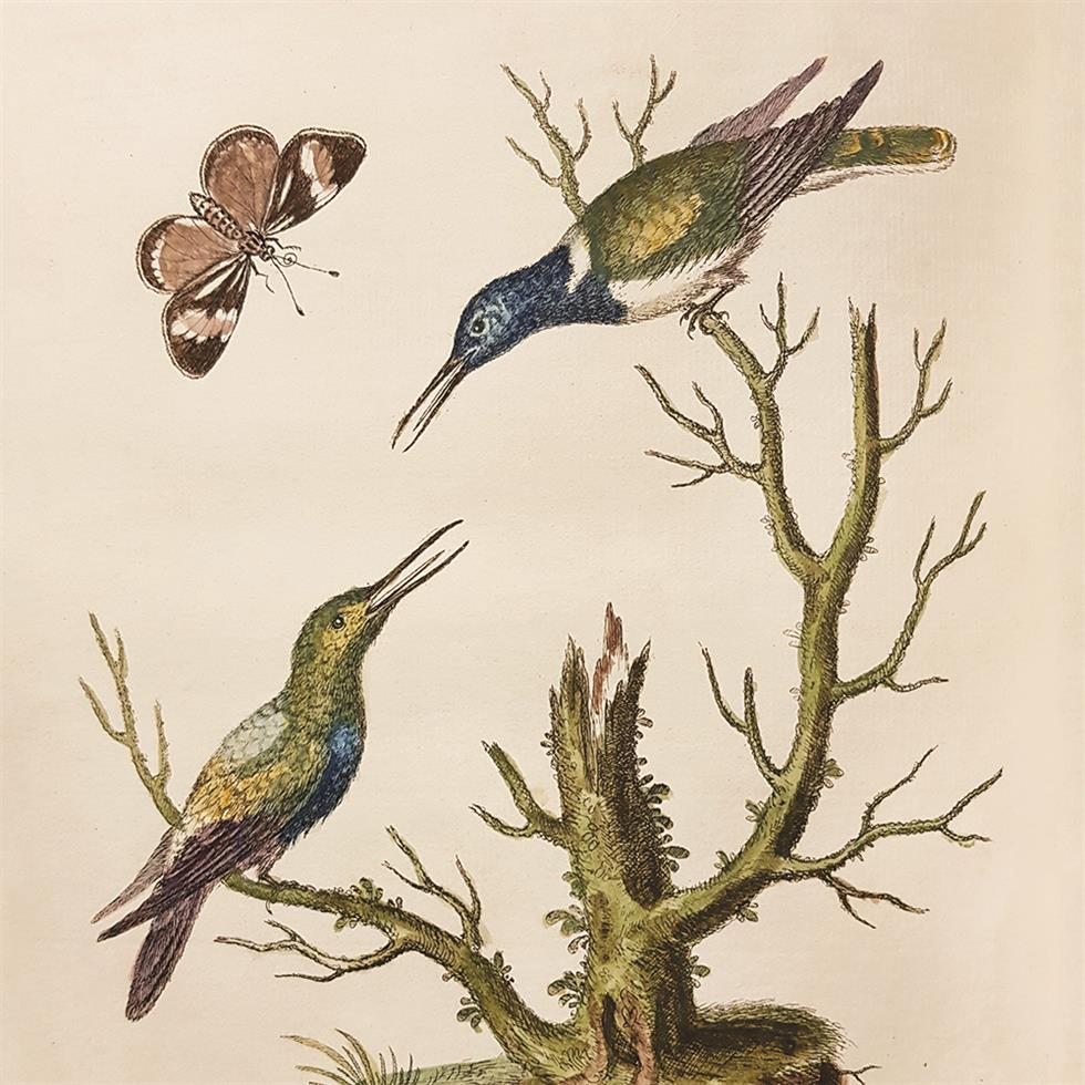 The Country House Sale on 18/09/2021