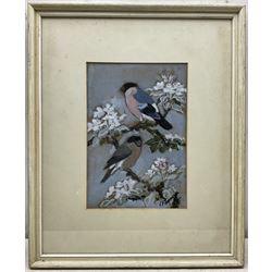 Charles Frederick Tunnicliffe (British 1901-1979): Bullfinches, gouache signed, titled on Welsh Arts Council label verso 31cm x 21cm