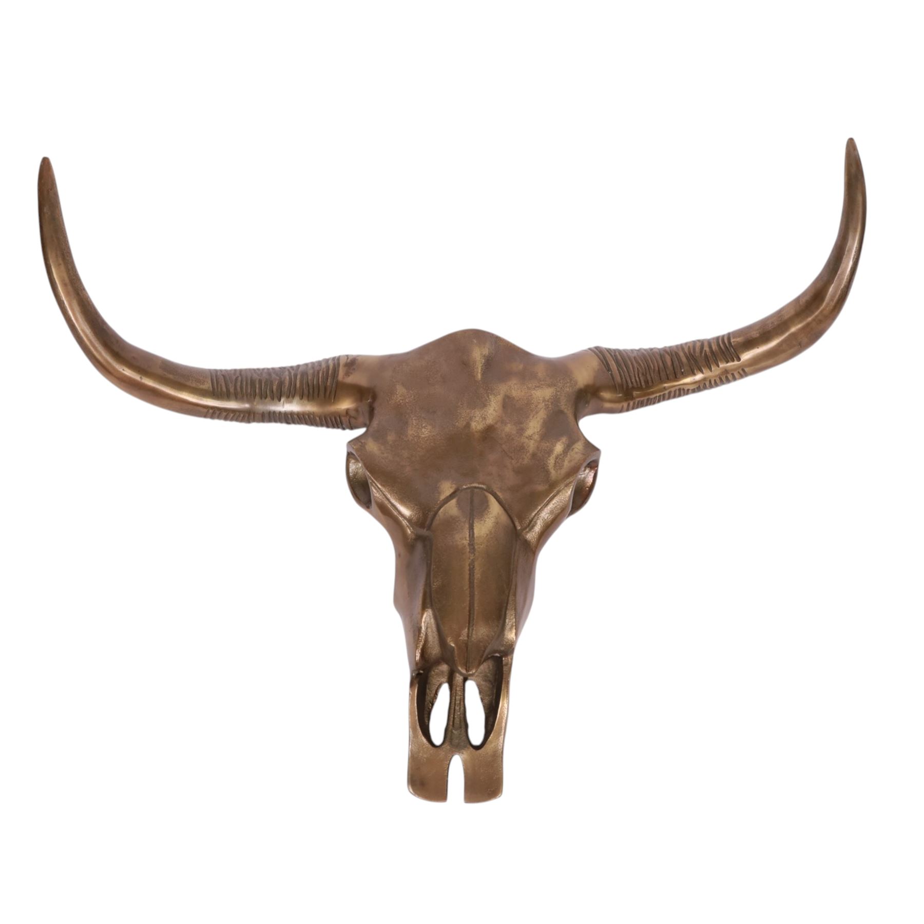 cast metal buffalo skull and horns, H54cm