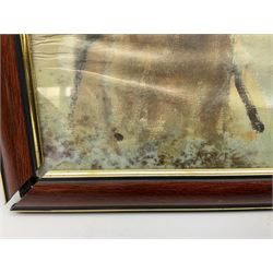 After G Keane (British 20th century): 'Mill Reef' and 'Brigadier Gerard', pair colour prints together with three further prints of Race Horses (5)