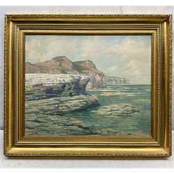 Walter Goodin (British 1907-1992): Flamborough Head looking towards Bempton Cliffs, oil on board signed 45cm x 56cm