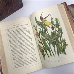  Pratt Anne: The Flowering Plants, Grasses, Sedges, and Ferns of Great Britain. Six volumes. Illustrated with colour plates. Uniformly bound in red half leather with gilt panelled spines and marbled boards  