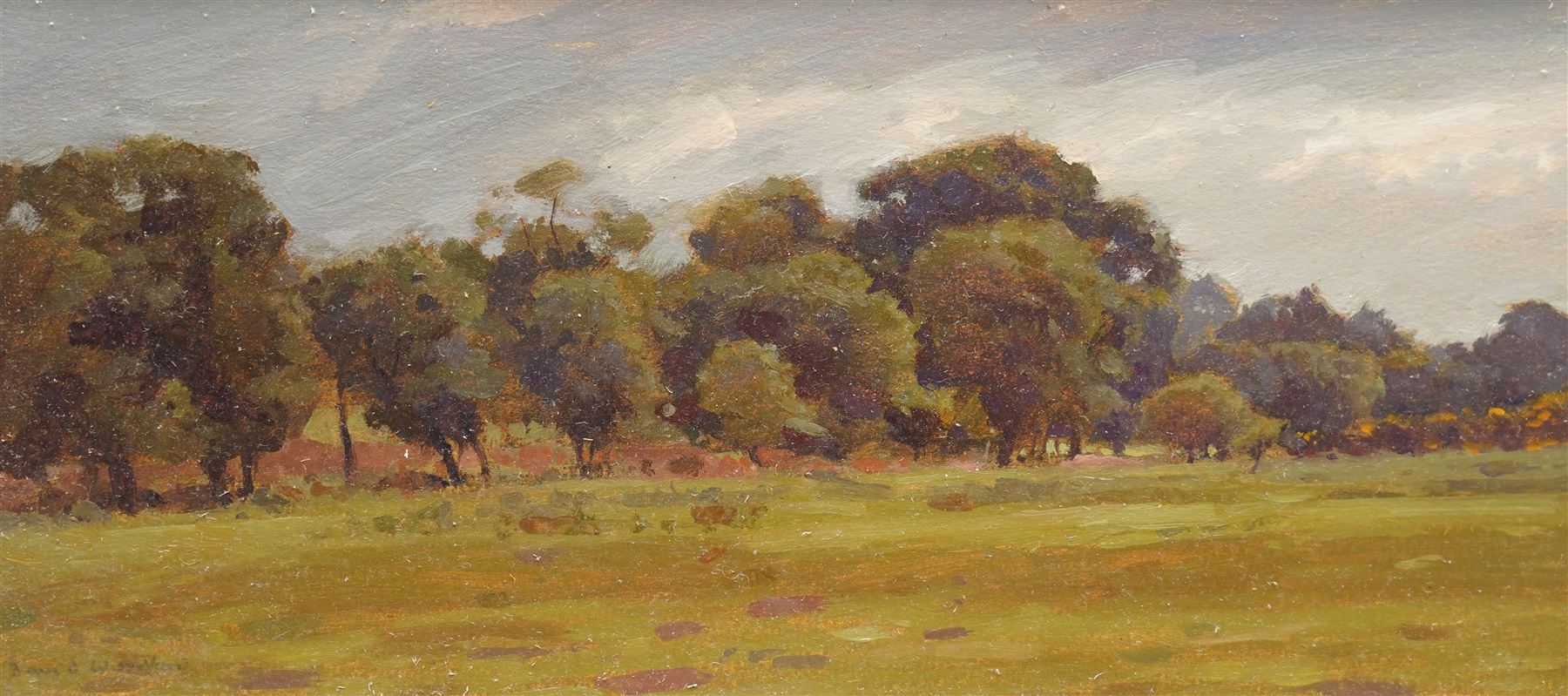 David Woodford (British 1938-): 'Tree Study 2', oil on board signed, inscribed and dated 1996 verso 12cm x 26cm (unframed)