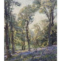 Herbert F Royle (British 1870-1958): The Bluebell Wood, oil on board signed 28cm x 33cm