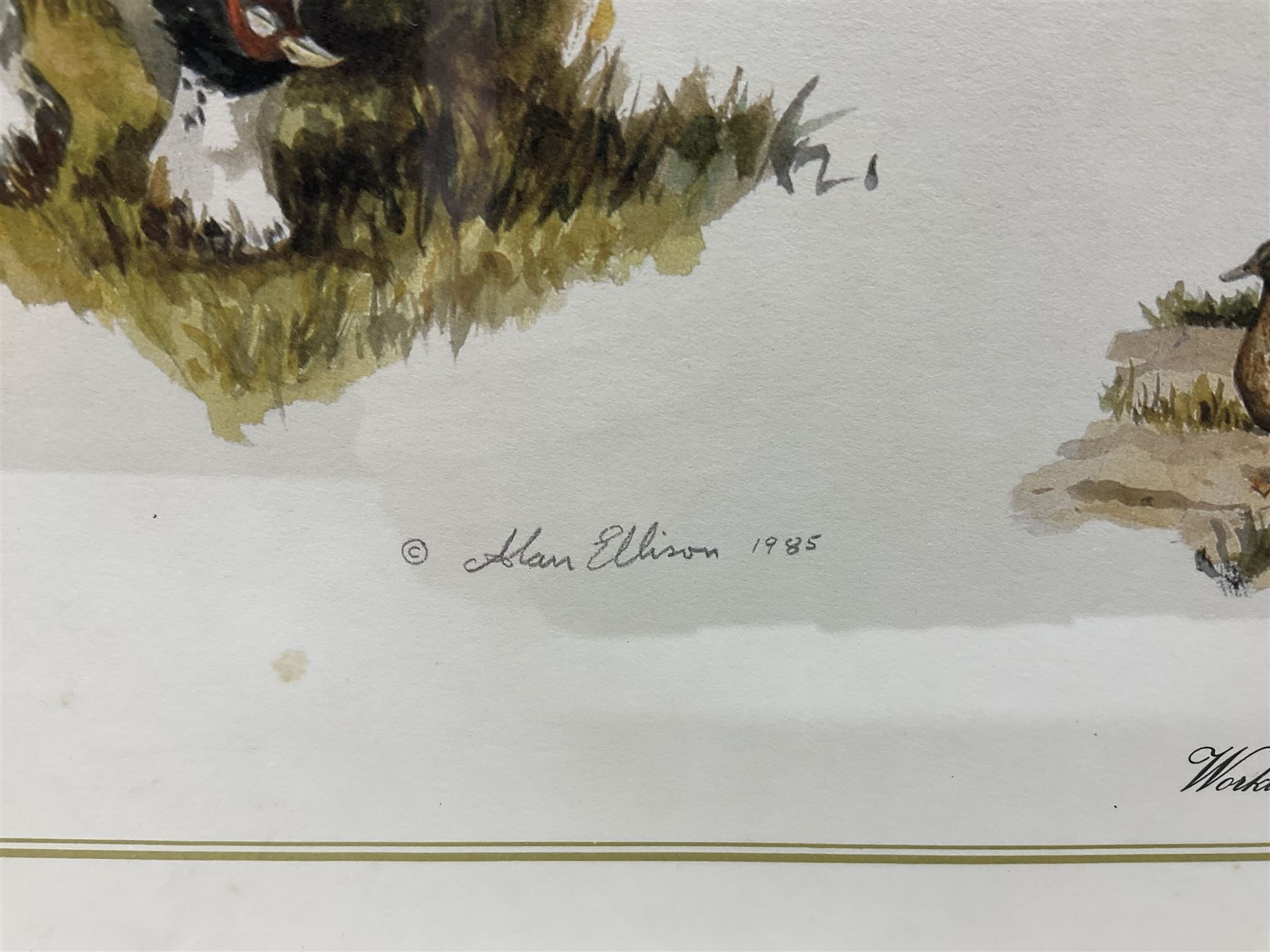 After Alan Ellison, limited edition colour print 'Working Springers' no.178/750 signed on the mount 43 x 59cm; and seven colour prints after Nigel Hemming of game birds and gun dogs; all framed (8)