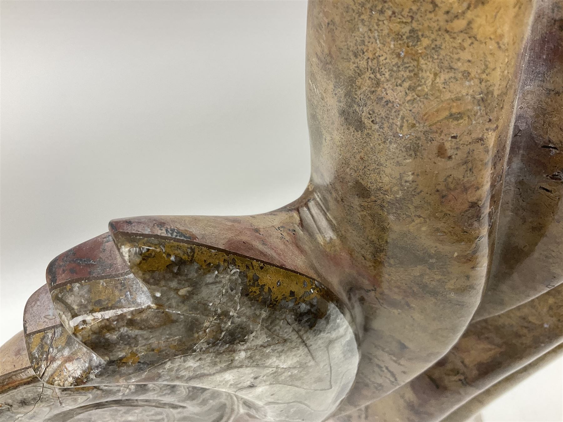 Goniatite sculpture, displaying two Goniatites within a polished and shaped matrix, age; Devonian period, H56cm