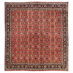 North West Persian carpet, the red field decorated with an all over repeating design of pa...