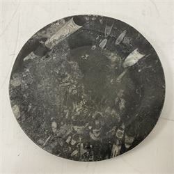 Three circular plates, each with Orthoceras and Goniatite inclusions, age: Devonian period, location: Morocco, largest D25cm