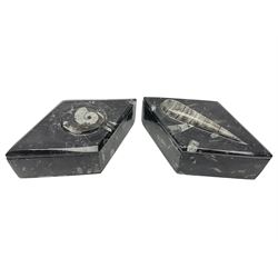 Two boxes, each in the form of a diamond with Orthoceras and Goniatite inclusions, the first with a raised Orthoceras to the lid, the second with a raised Goniatite to the lid, age: Devonian period, location: Morocco, L17cm, H5cm 