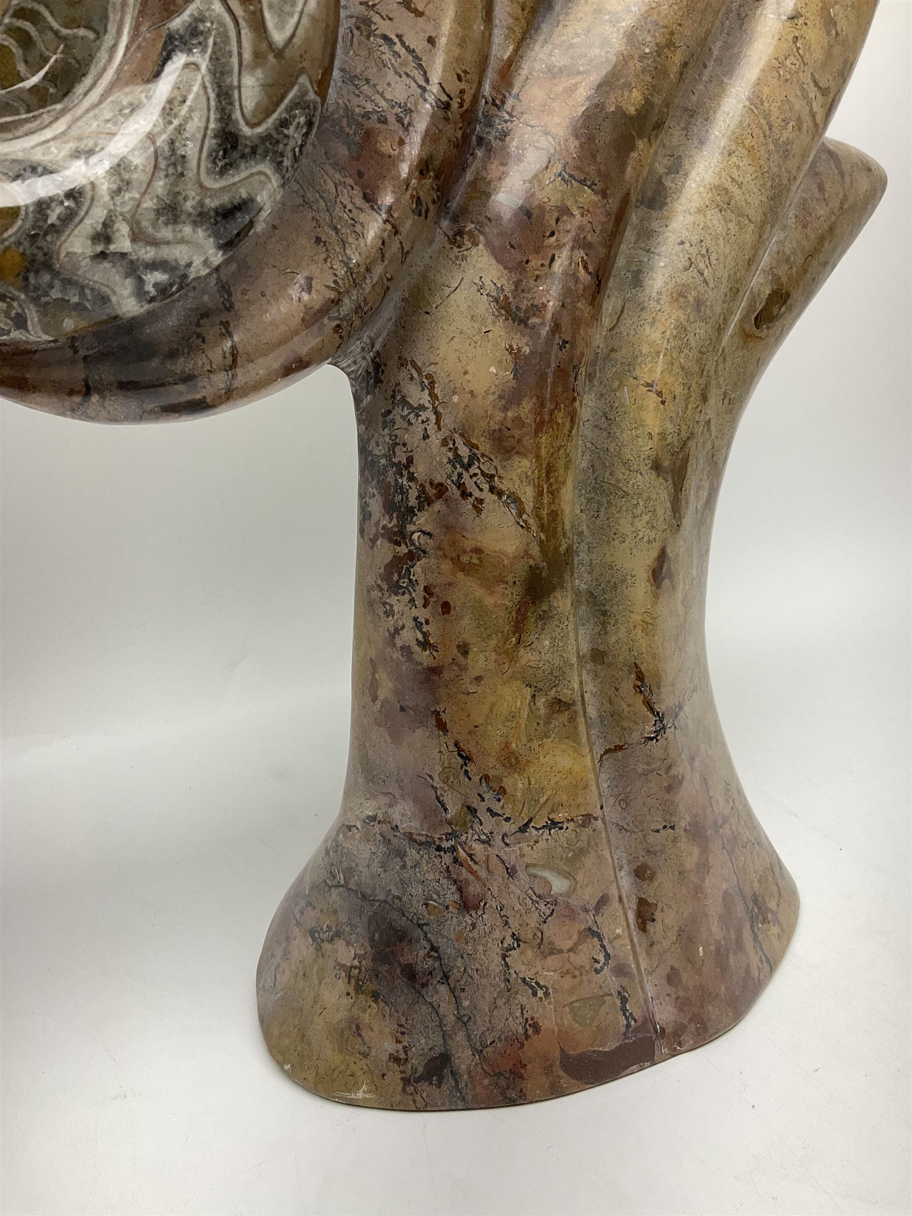 Goniatite sculpture, displaying two Goniatites within a polished and shaped matrix, age; Devonian period, H56cm