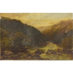  'The Dart near Buckfastleigh', 19th century oil on canvas signed and dated 1868 C Smith, titled signed and dated verso 33cm x 51cm (unframed)  