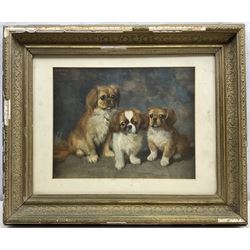 Maarten Hendrik Krabbe (Dutch 1868-1931): Three Pekingese Puppy Dogs, watercolour signed and dated 1930, 28cm x 35cm