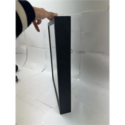 Entomology: Single glazed display of butterflies, circa 20th century, single glazed display containing seven various specimens, including green-banded swallowtail, and amauris crawshayi, pinned upon foam backing, enclosed within a glazed ebonised display case the backdrop painted with blossoming branches , H49cm, L39cm