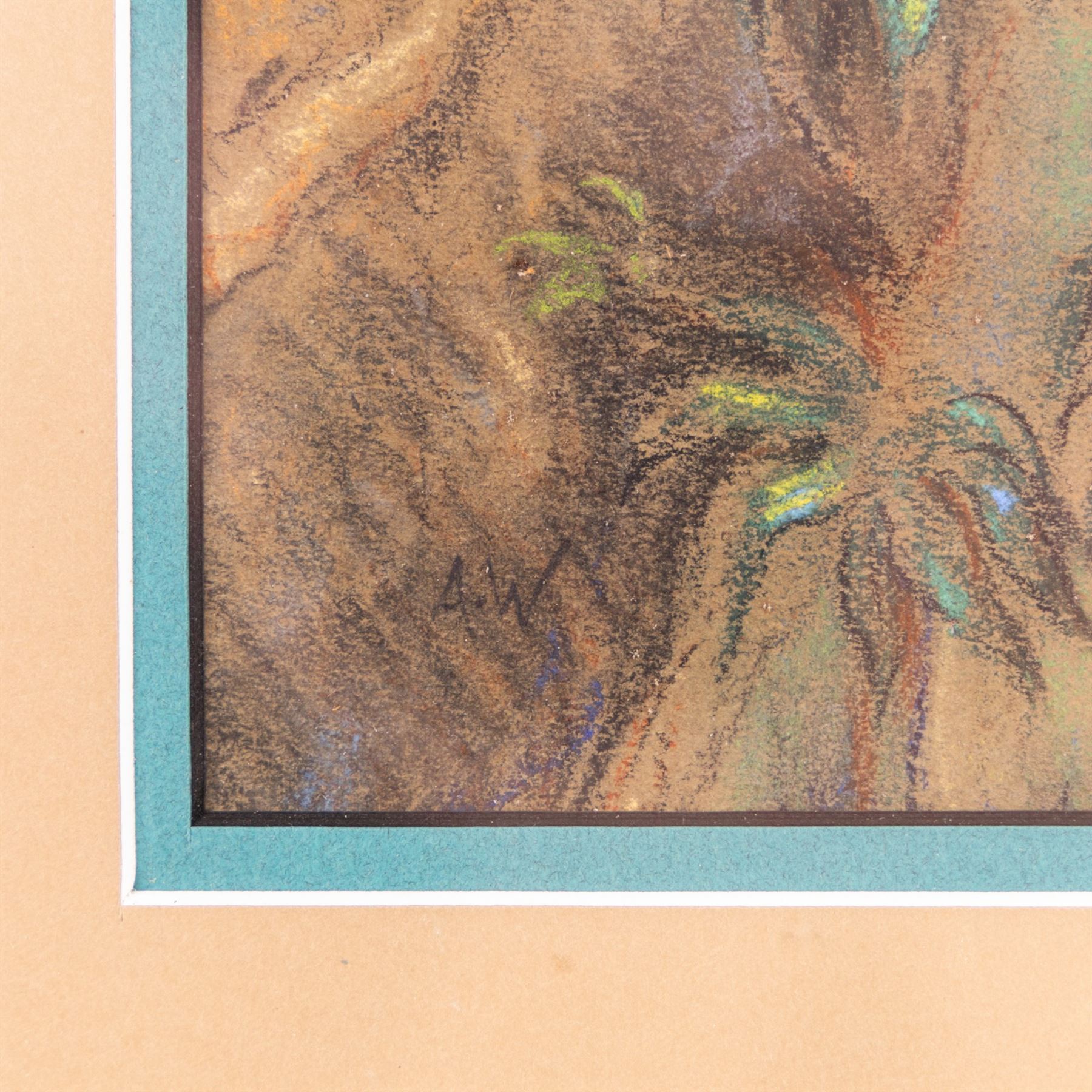 Arthur Wardle (British 1864-1949): Lioness, pastel, signed with initals 20.5cm x 28.5cm