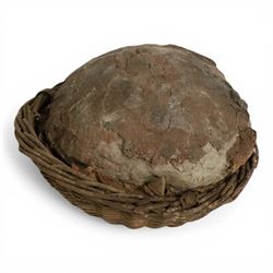 Dendroolithus sp (Hadrosaur) dinosaur egg age; Cretaceous period, location Gobi desert, Mo...