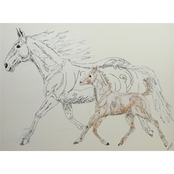  Jane Haigh (British 1966-): 'Mothers Love' - Study of Horse and Foal, mixed media on canvas 75cm x 100cm  
