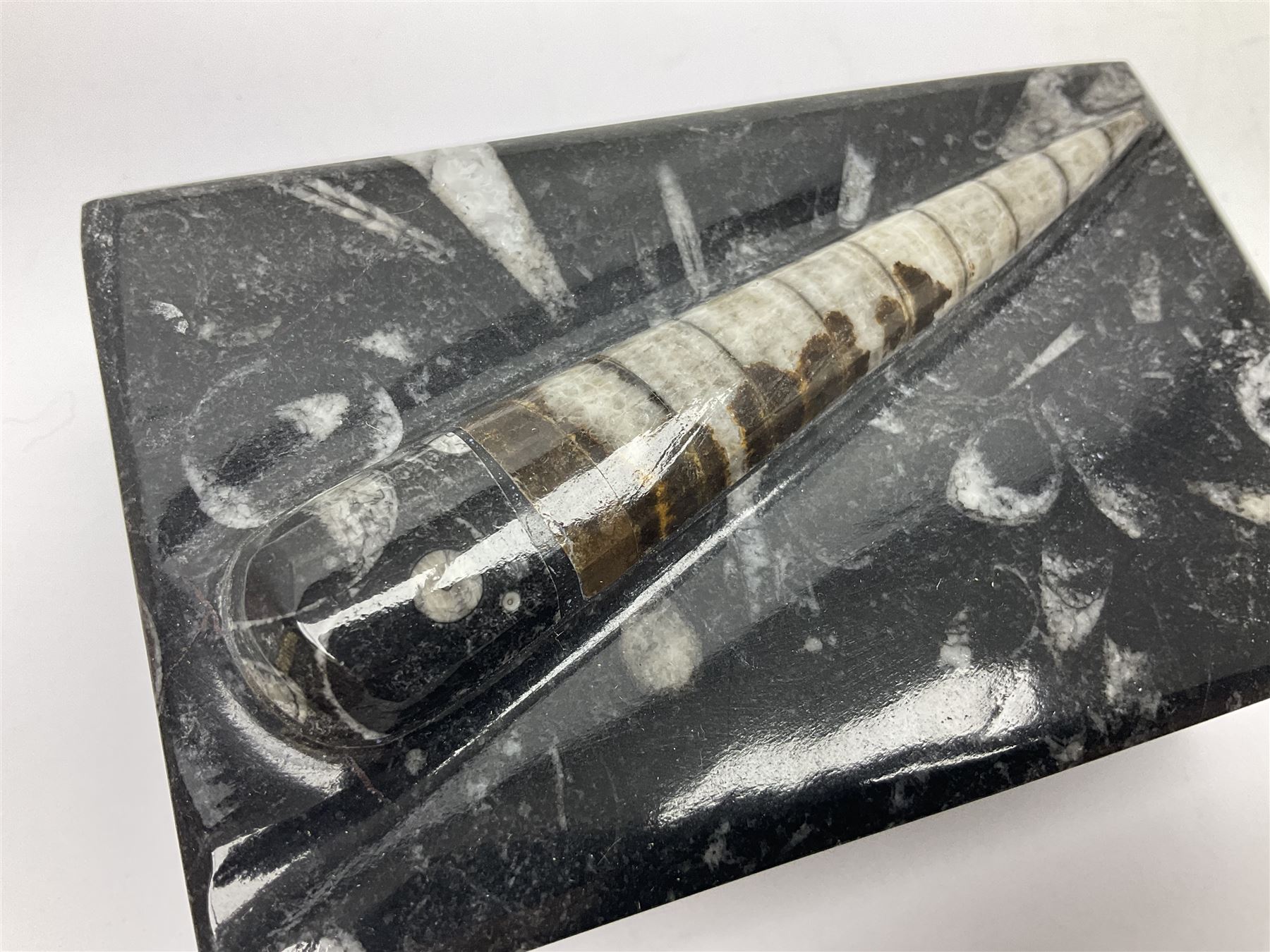 Three piece desk set, comprising letter rack, dish and box with raised Orthoceras to the lid, all with Orthoceras and Goniatite inclusions, age: Devonian period, location: Morocco