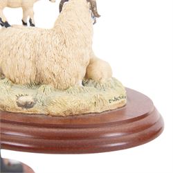 Seven Border Fine Arts animal figures, comprising Otter, Fox, Mummy's Boys, Wash Day, On The Farm, King of the Castle and Ewe & Lambs, all on wooden plinths