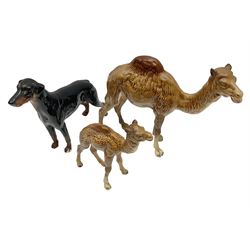 Three Beswick figures, to include camel no. 1044, Camel foal no. 1043 and one other