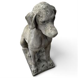 Weathered cast stone garden statue modelled as a seated pointer dog wearing a collar