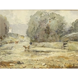  Cattle in a Stream, 19th/20th century watercolour signed with initial JS? 24.5c,m x 33cm   