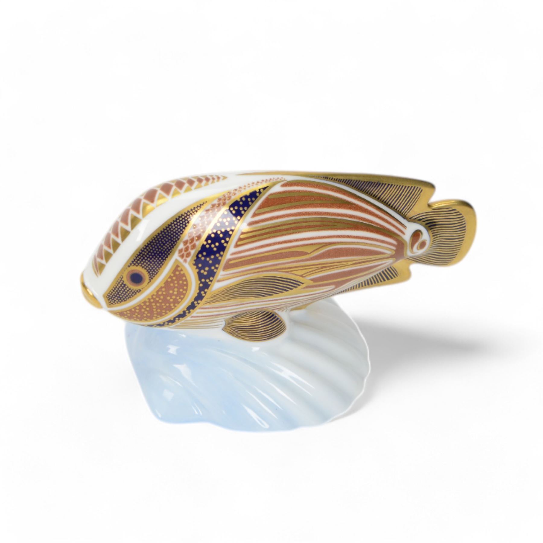 Three Royal Crown Derby Tropical Fish paperweights, comprising Angel Fish, Sweetlips and Gourami, all with gold stoppers and boxes