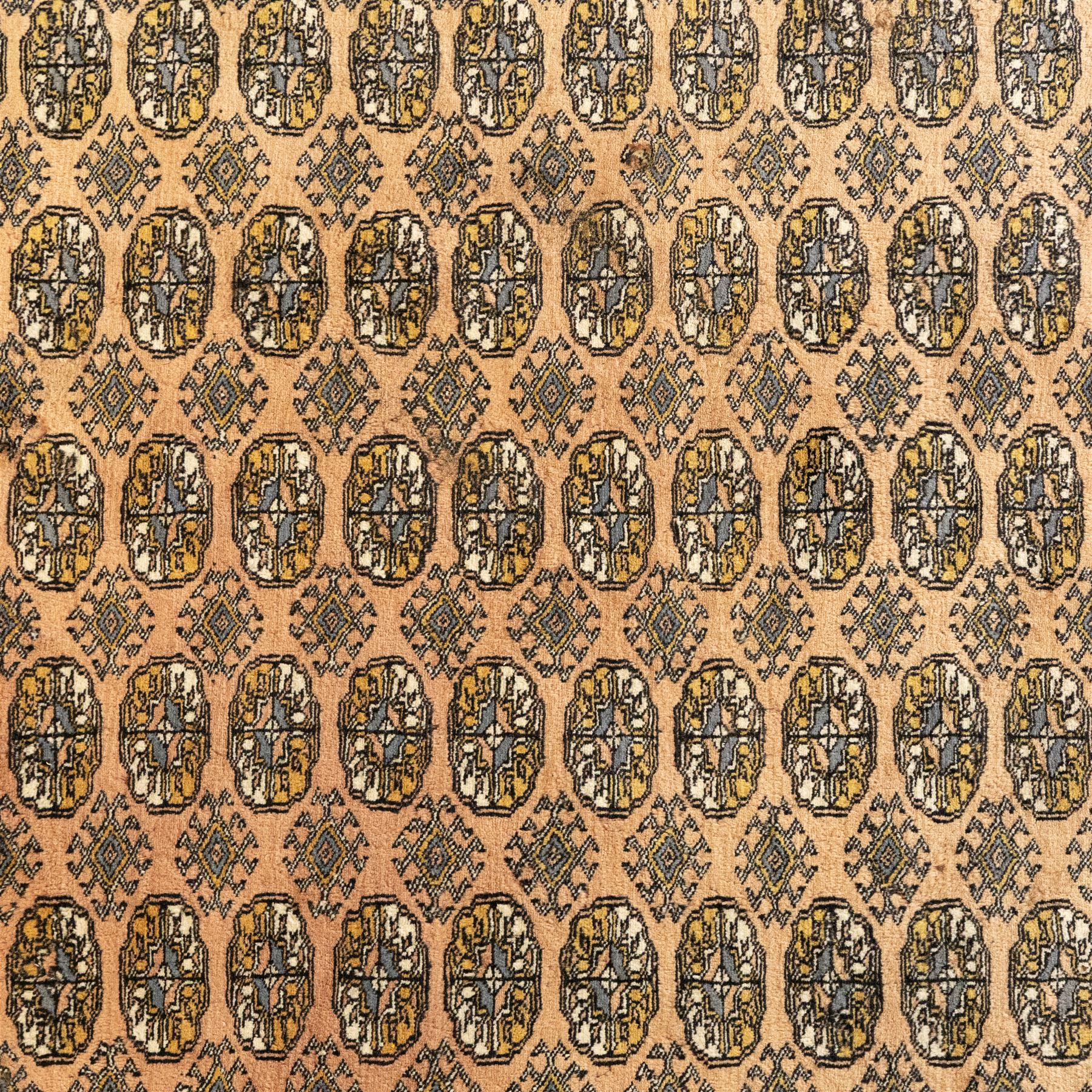 Bokhara rug, rose ground, with multiple rows of ivory and indigo guls enclosed by narrow geometric borders in tones of ivory, grey, and gold