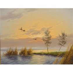  Gien Brouwer (Dutch 1944-): Mallards in Flight, oil on board signed 39cm x 49cm and Spaniels, two colour prints after Nigel Hemming 38cm x 49cm (3)  