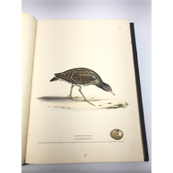  Meyer Henry Leonard:  Illustrations of British Birds. Part Two - Water Birds with one hundred and forty coloured plates with tissue guards, seventy-five with eggs and three with eggs only, gilt tooled full leather binding with gilt panelled spine and hand painted title page.  