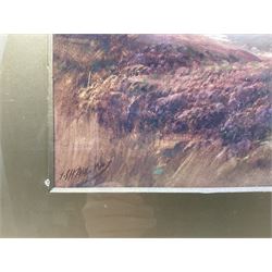 John Shapland (British 1865-1929): 'In the Doon Valley - Exmoor', watercolour signed and titled on mount 28cm x 46cm 