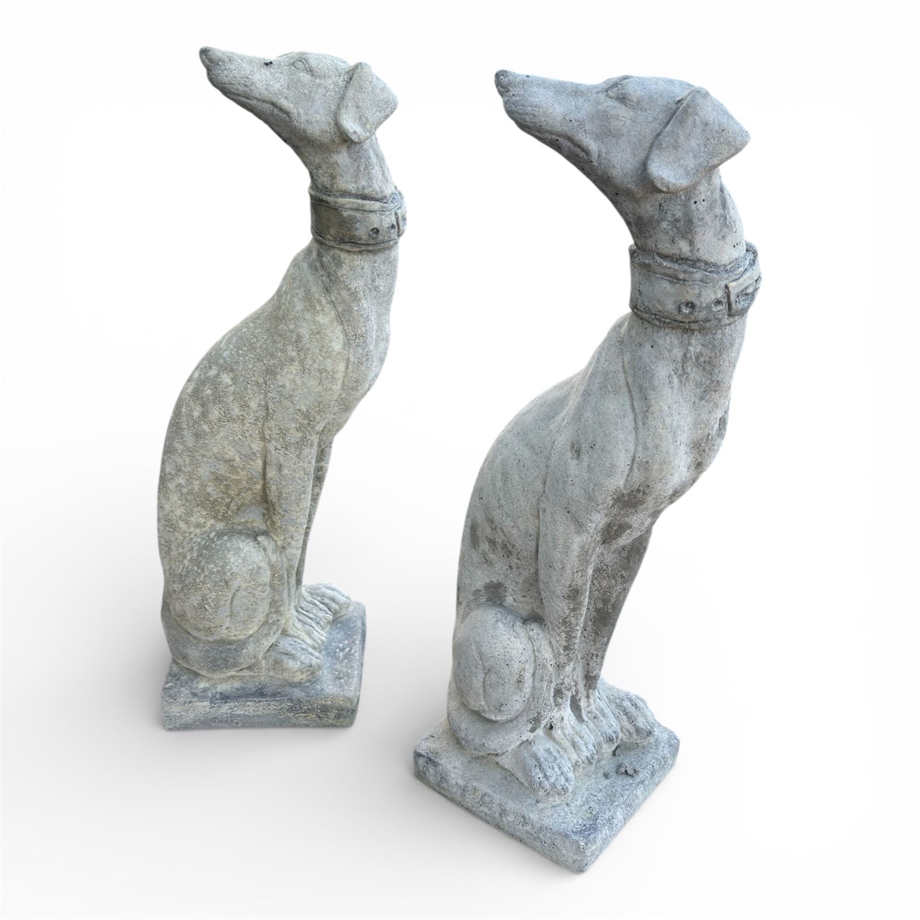 Pair of small cast stone  seated garden greyhounds, on square plinth bases