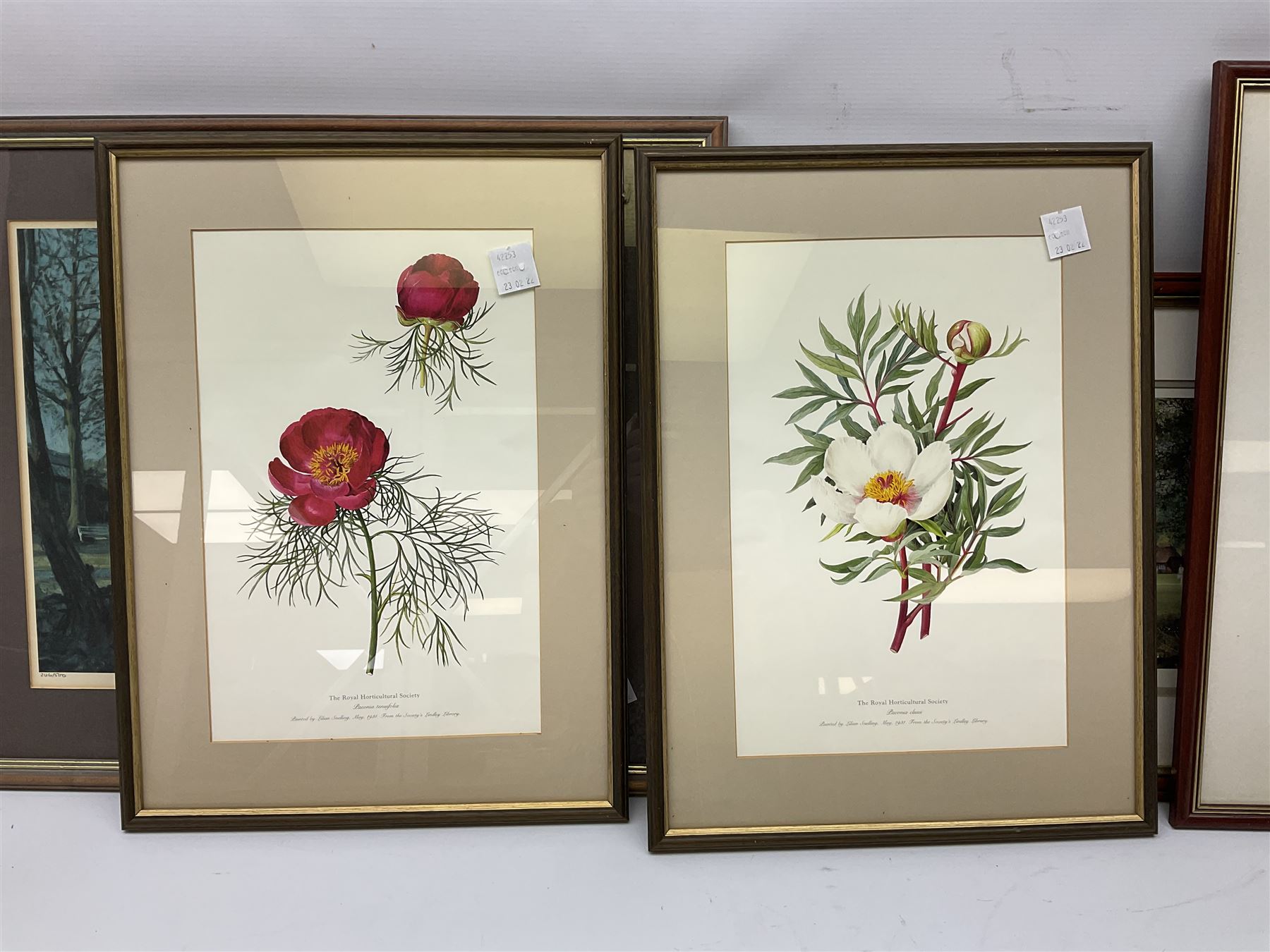 After Terry Harrison (20th century): Landscapes and Cricket, three colour prints signed in pencil together with four prints of flowers and one other max 45cm x 34cm (8)