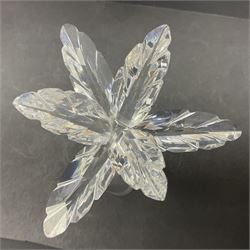 Swarovski Crystal animals, comprising camel and lion, both upon frosted crystal bases, together with Swarovski Crystal palm tree, upon similar frosted crystal base, tallest H14cm