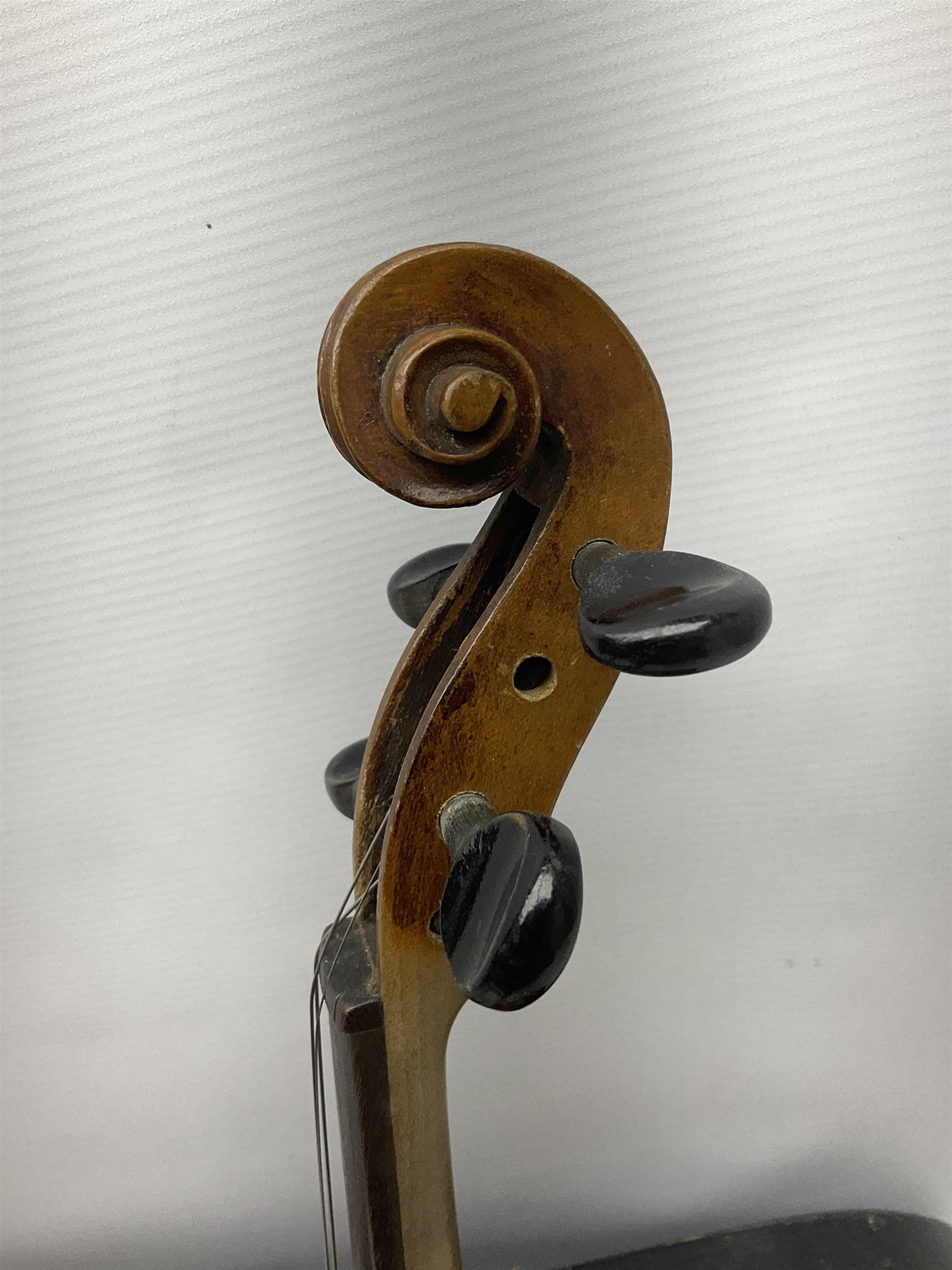 Late 19th century Saxony violin with 36cm one-piece maple back and ribs and spruce top; bears label 'Josef Klotz in Mittenwalde Anno 1795' L60cm overall; in ebonised wooden 'coffin' case