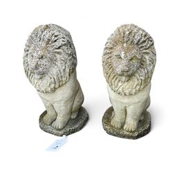 Pair of cast stone lion statues on plinths