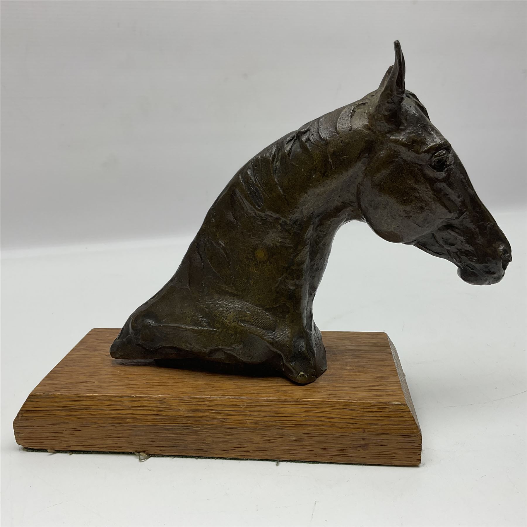 After Sydney March, bronze figure of horses head, wupon a wooden plinth, H17cm