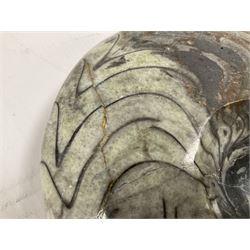 Large polished goniatite, age Devonian period, location Morocco, H16cm, L22cm