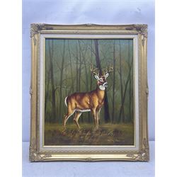 Continental School (20th century): Stag in the Forest, oil on canvas indistinctly signed 60cm x 50cm