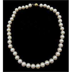 Single strand white cultured pearl necklace, with 9ct gold ball clasp