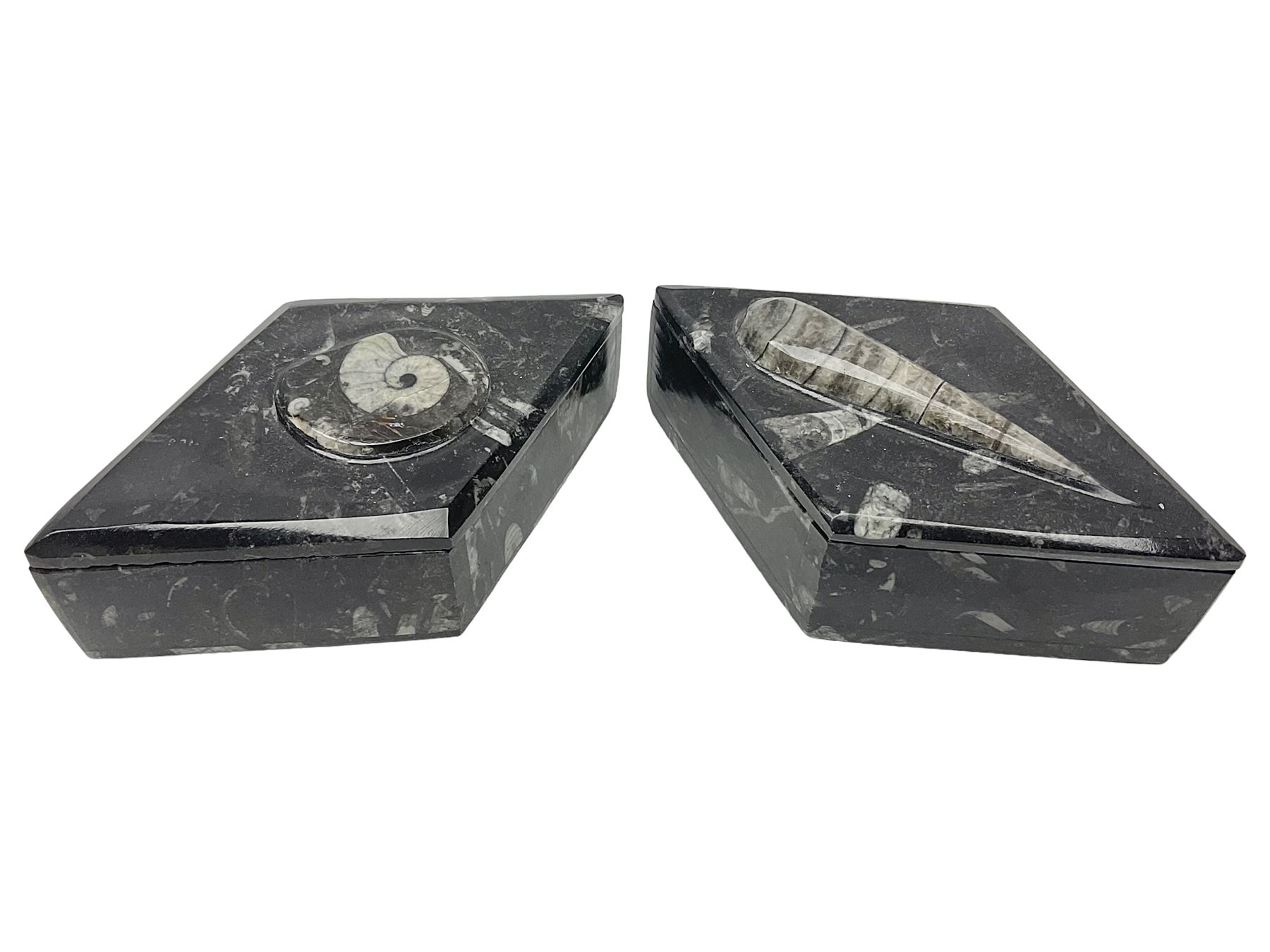Two boxes, each in the form of a diamond with Orthoceras and Goniatite inclusions, the first with a raised Orthoceras to the lid, the second with a raised Goniatite to the lid, age: Devonian period, location: Morocco, L17cm, H5cm 