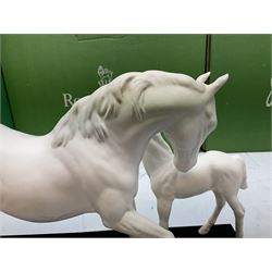 Five Beswick and Royal Doulton horse figures in matt white on black plinths, comprising of  Spirit of Affection no. 2689/2536, Springtime no.2837, Spirit of peace no.2916, Spirit of earth no.2914 and Spirit of the wild no. 183, together with a composite figure of a horse (6)