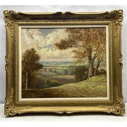 David Mead (British 1906-1986): Maidstone Landscape, oil on board signed 49cm x 59cm 