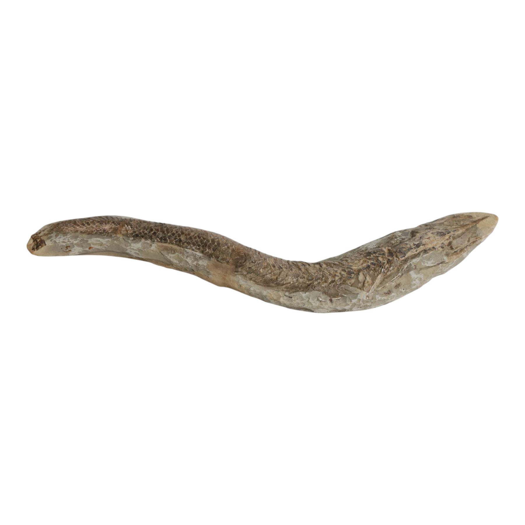 Fossilised fish specimen, Aspidorhynchus Compotoni (Garfish), age; Cretaceous Period, location; Santana Formation, Brazil, L54cm