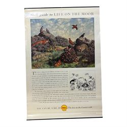 Collection thirty seven vintage county guide posters produced by Shell, H76cm, W51cm